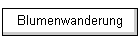 Blumenwanderung